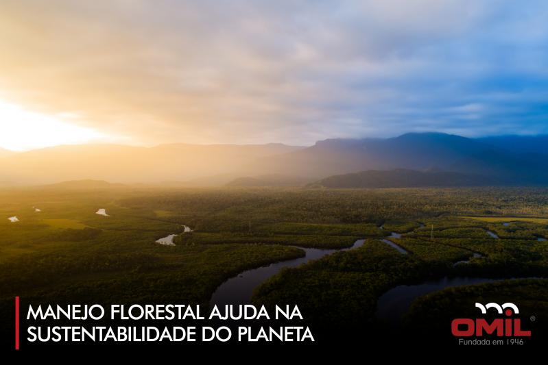 Manejo florestal ajuda na sustentabilidade do planeta