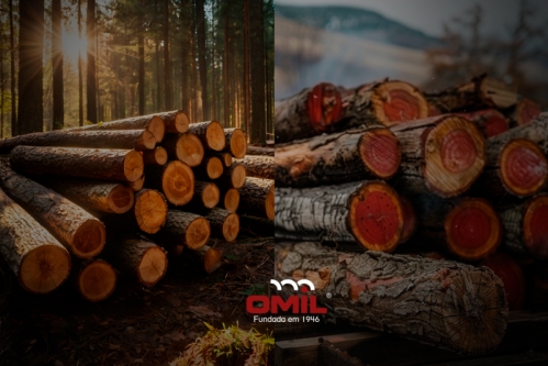Madeira macia x madeira dura: como escolher a máquina certa para cada tipo?